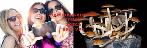 дурь Алзамай
