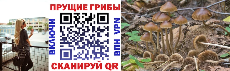 Псилоцибиновые грибы мухоморы  Снежинск 